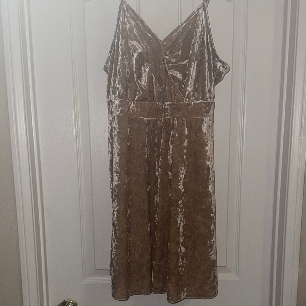 Xhilaration Velvet Beige Dress